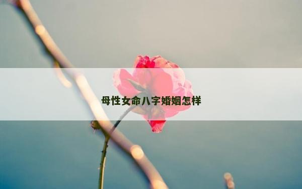 母性女命八字婚姻怎樣