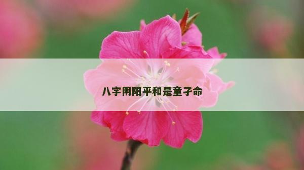 八字陰陽平和是童孑命