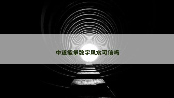 中道能量數字風水可信嗎