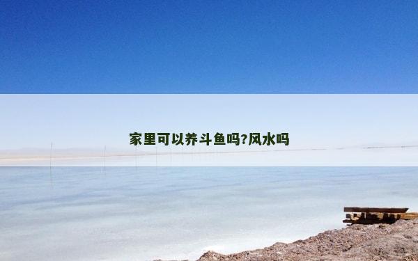 家里可以養斗魚嗎?風水嗎