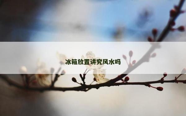 冰箱放置講究風(fēng)水嗎