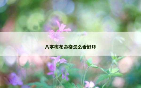 八字梅花命格怎么看好壞