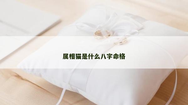 屬相貓是什么八字命格
