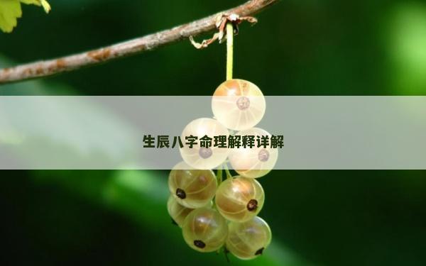生辰八字命理解釋詳解