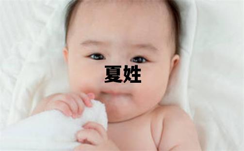 夏姓有含義的男孩名字,取什么名字好