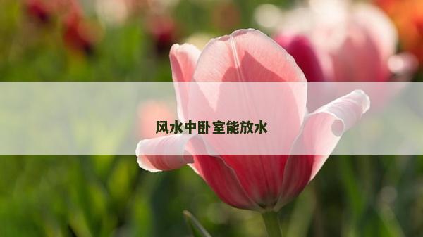 風(fēng)水中臥室能放水