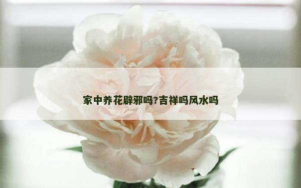 家中養(yǎng)花辟邪嗎?吉祥嗎風(fēng)水嗎