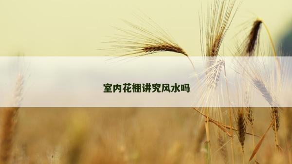 室內(nèi)花棚講究風(fēng)水嗎