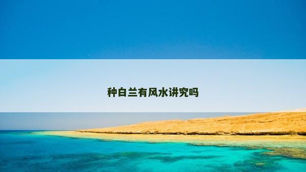 種白蘭有風水講究嗎
