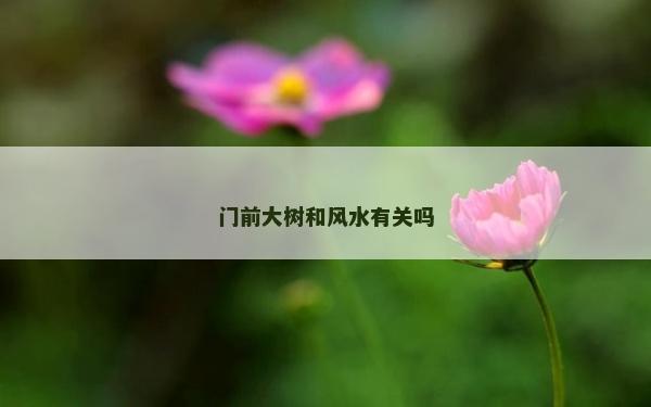 門前大樹和風水有關嗎