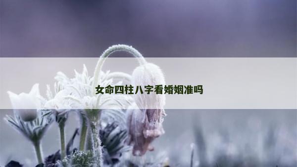 女命四柱八字看婚姻準嗎