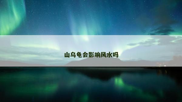 山烏龜會影響風水嗎