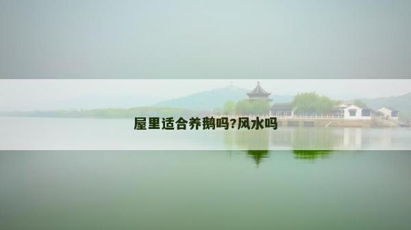 屋里適合養鵝嗎?風水嗎