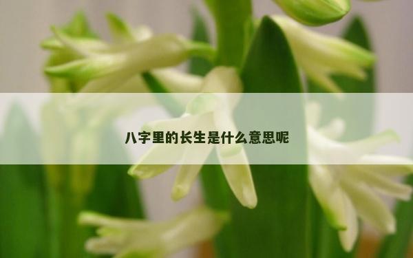 八字里的長生是什么意思呢