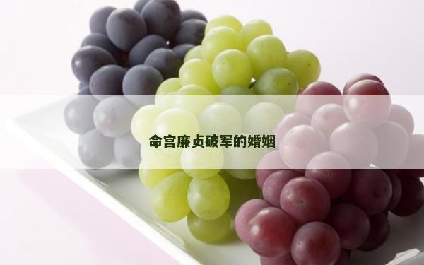命宮廉貞破軍的婚姻 命宮廉貞破軍的婚姻