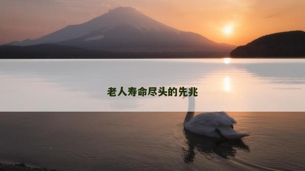 老人壽命盡頭的先兆