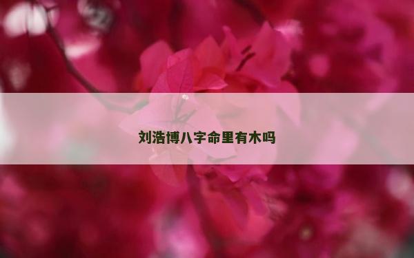 劉浩博八字命里有木嗎