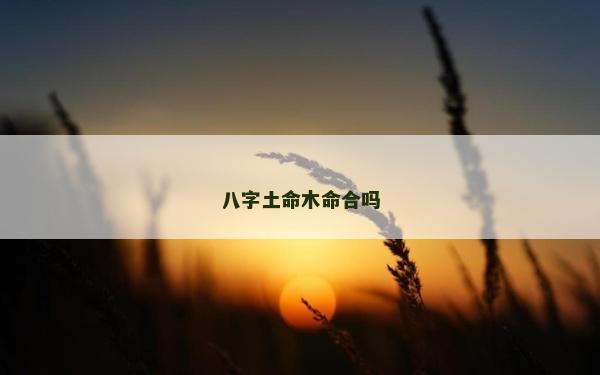 八字土命木命合嗎