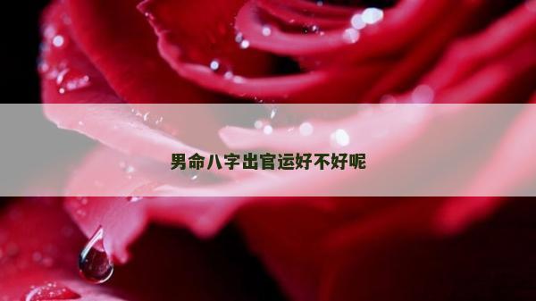 男命八字出官運好不好呢
