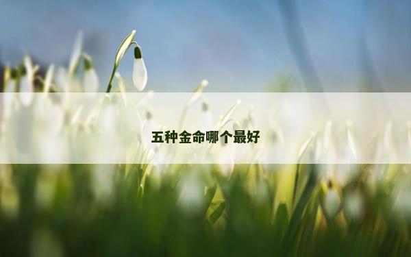 五種金命哪個最好