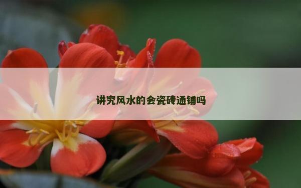 講究風水的會瓷磚通鋪嗎 講究風水的會瓷磚通鋪嗎