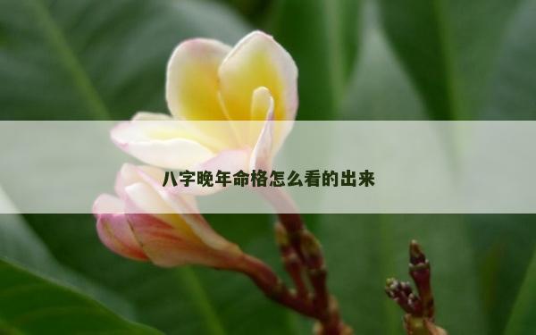 八字晚年命格怎么看的出來 八字晚年命格怎么看的出來