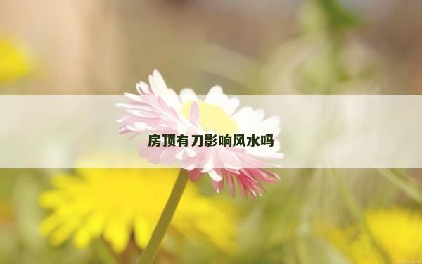房頂有刀影響風水嗎