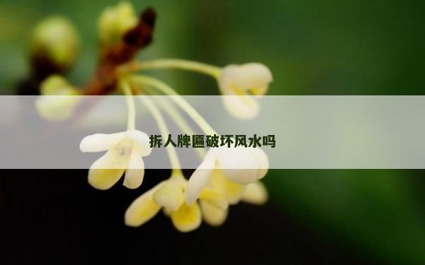 拆人牌匾破壞風水嗎