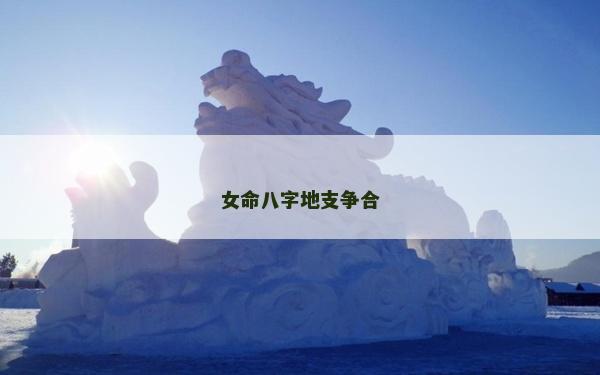 女命八字地支爭合 女命八字地支爭合