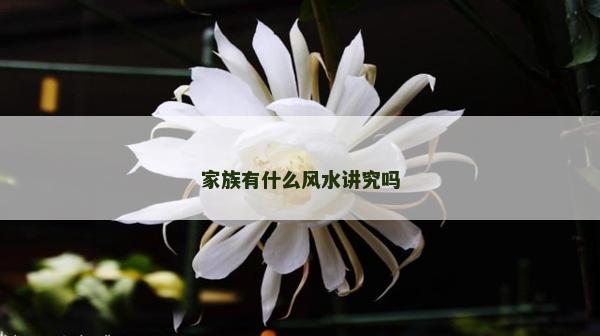 家族有什么風水講究嗎