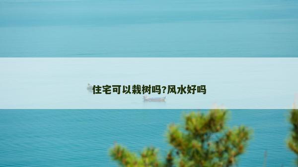 住宅可以栽樹嗎?風水好嗎
