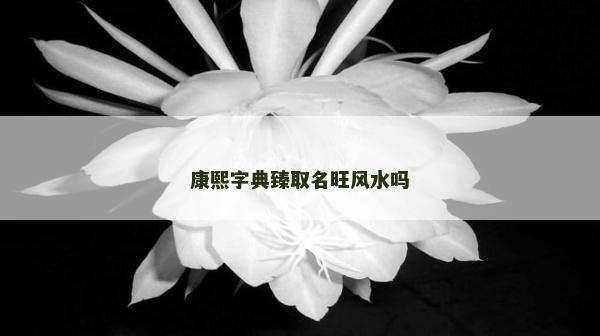 康熙字典臻取名旺風(fēng)水嗎