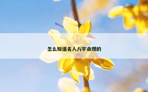 怎么知道名人八字命理的