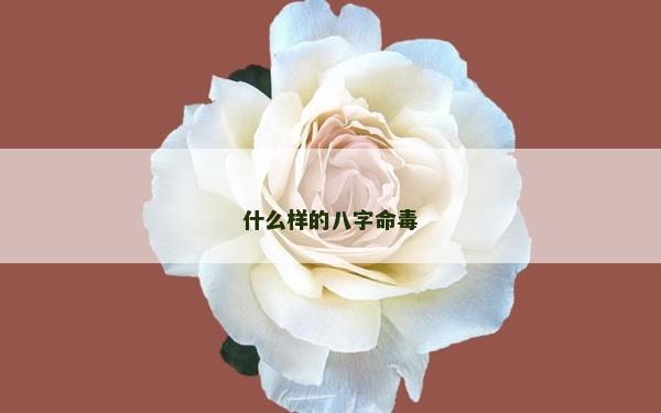 什么樣的八字命毒 什么樣的八字命毒