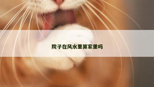 院子在風水里算家里嗎