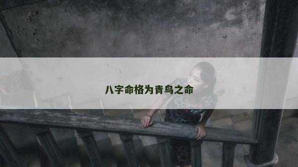 八字命格為青鳥之命