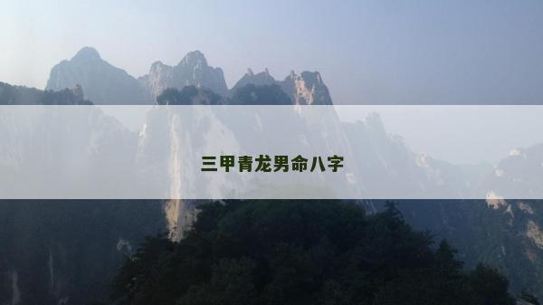 三甲青龍男命八字