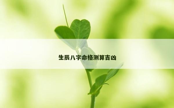生辰八字命格測算吉兇