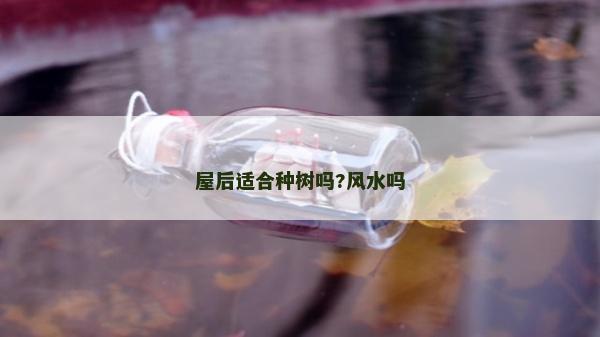 屋后適合種樹嗎?風水嗎
