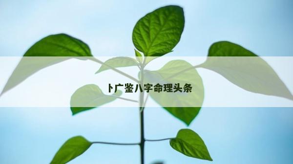 卜廣鑒八字命理頭條