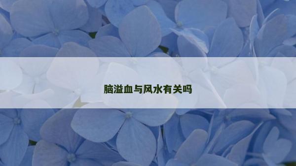 腦溢血與風(fēng)水有關(guān)嗎