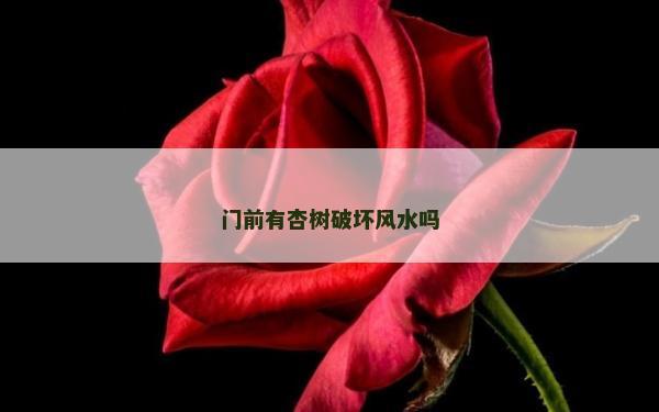 門前有杏樹破壞風水嗎