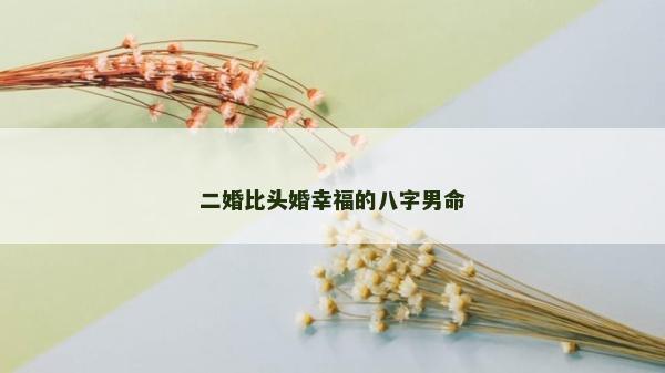 二婚比頭婚幸福的八字男命