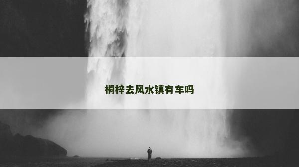 桐梓去風水鎮有車嗎 桐梓去風水鎮有車嗎