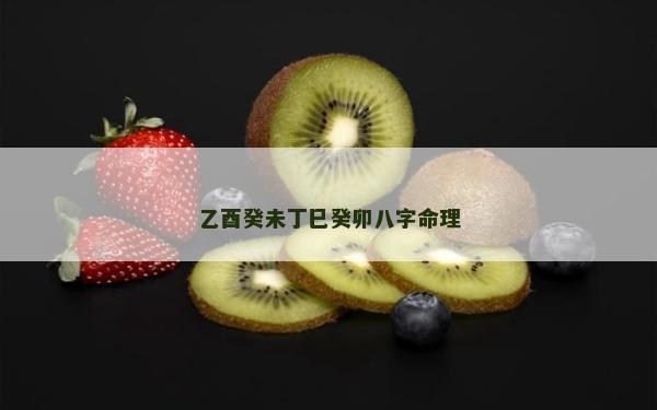 乙酉癸未丁巳癸卯八字命理