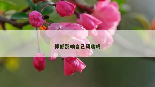 伴郎影響自己風水嗎