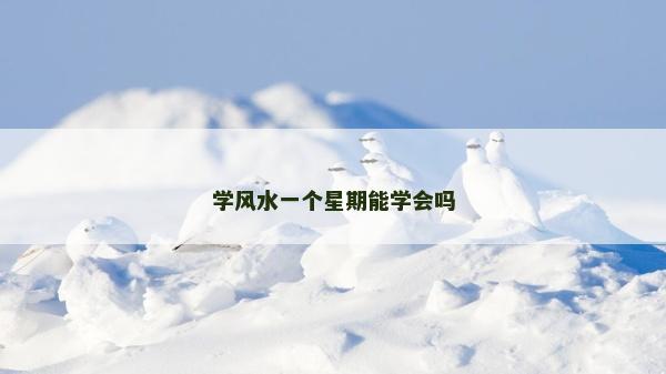學風水一個星期能學會嗎 學風水一個星期能學會嗎
