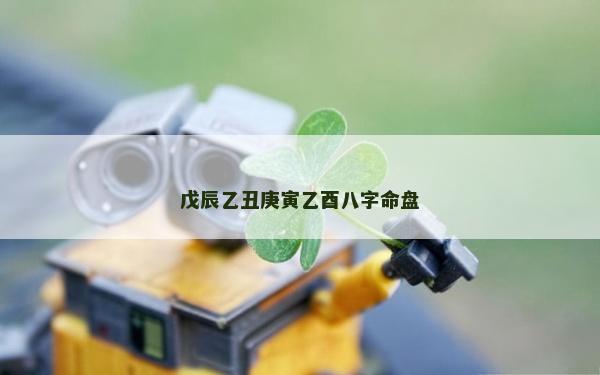 戊辰乙丑庚寅乙酉八字命盤