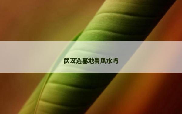 武漢選墓地看風水嗎