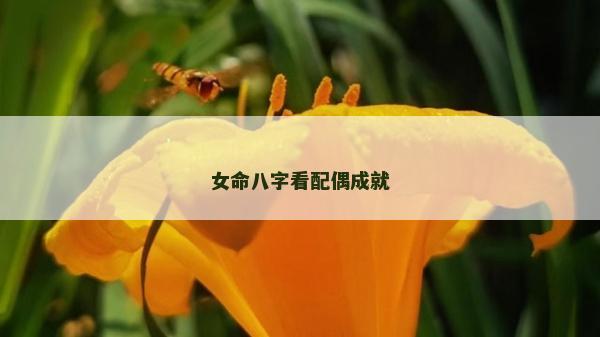 女命八字看配偶成就